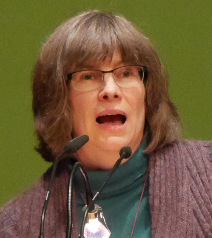 Petra Kruse-Runge spricht vor der LDK (in Stade 2015)