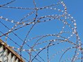 Maschendrahtzaun mit "NATO-Draht" und Überwachungskamera